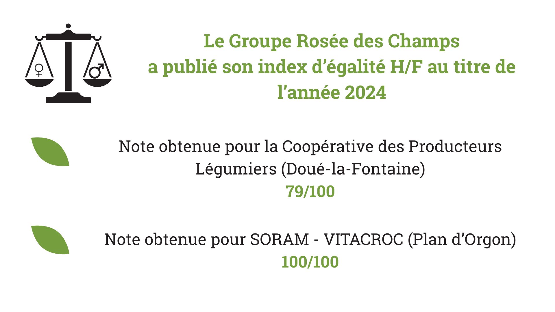 Index d'égalité H/F