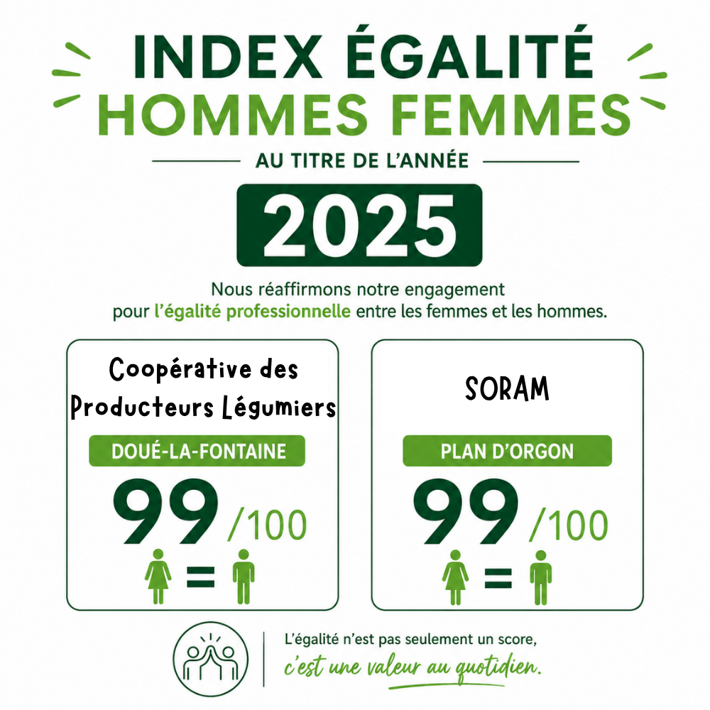 Index Egalité H/F 2025